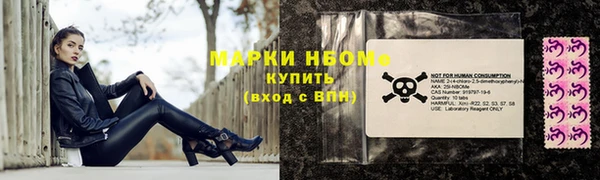 стафф Богородицк