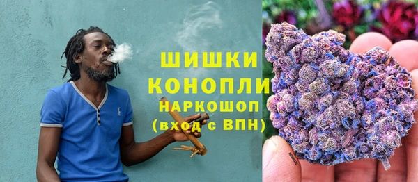 СК Бронницы