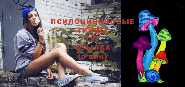 СК Бронницы