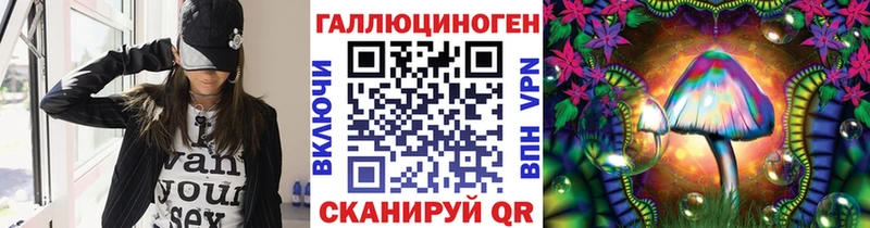 как найти закладки  Волжский  Псилоцибиновые грибы Cubensis 